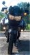 Avatar utente